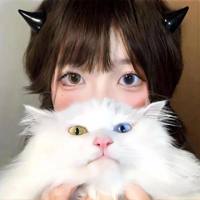 屋中异蛛